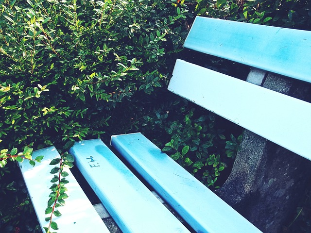 半的得分 半的得分