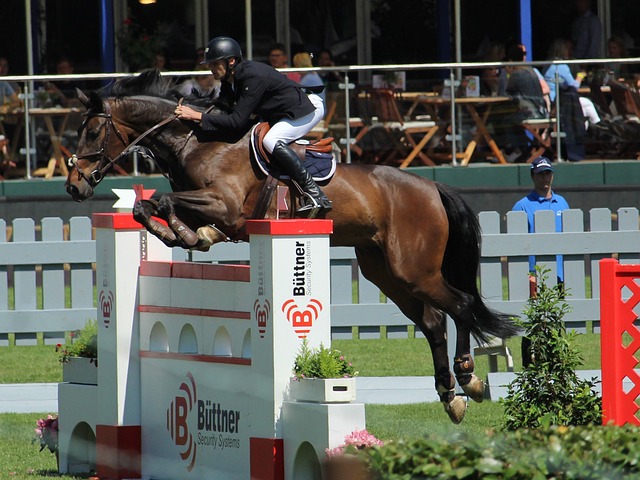 2022東亞杯積分排行榜.