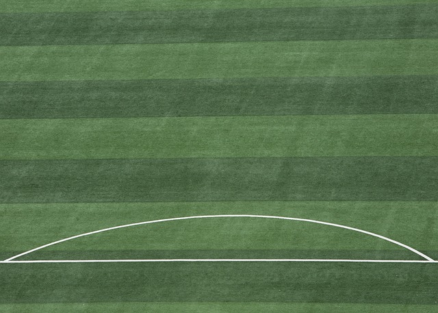 每位选手都 每位选手都