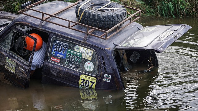 场均得分稳 场均得分稳