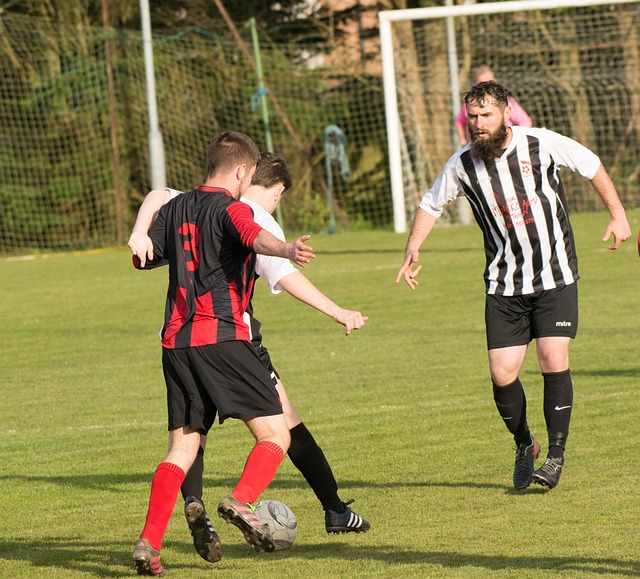 全队的配合 全队的配合