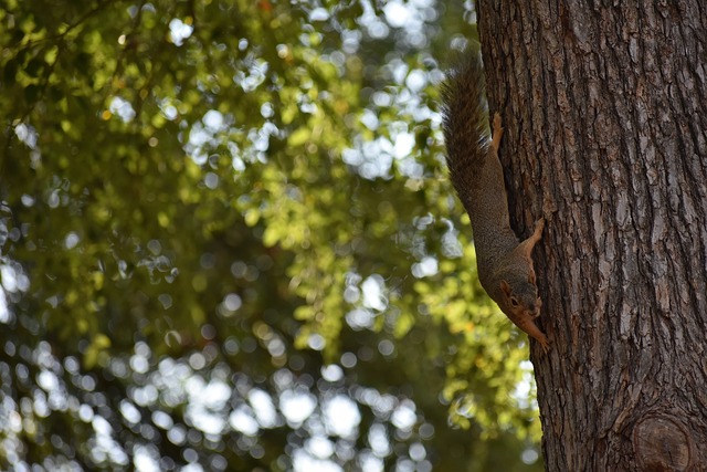 一加一大于 一加一大于