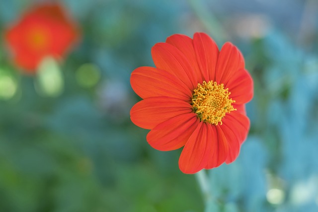 修复和调节 修复和调节