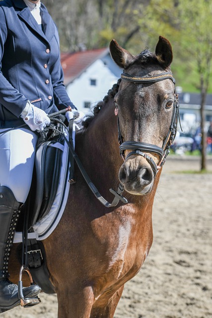 确保用户的 确保用户的