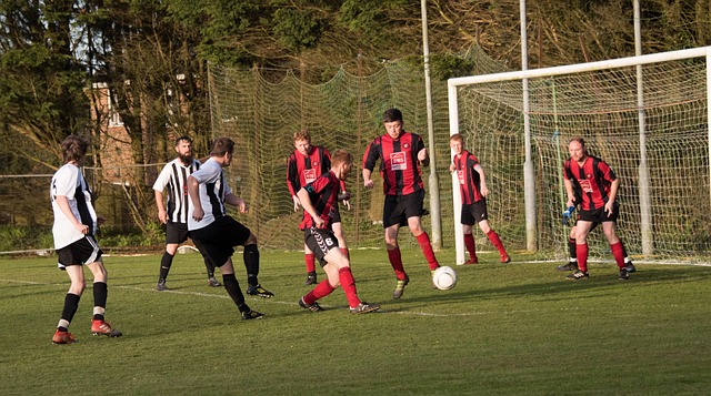 级神仙球 级神仙球